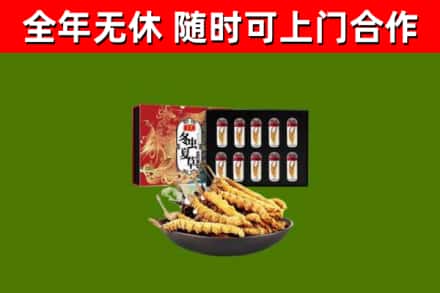 漯河回收冬虫夏草价格